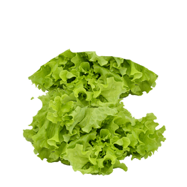 Lettuce